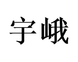商标原图