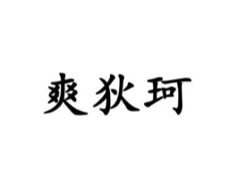 爽狄珂商标原图 第18类皮革箱包