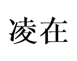 商标原图