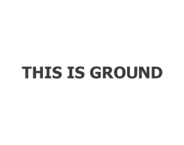 THIS IS GROUND商标原图 第18类皮革箱包