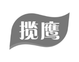 揽鹰商标原图 第18类皮革箱包