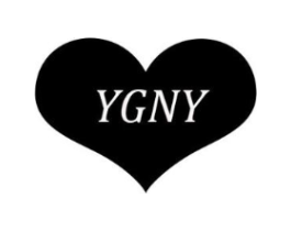 YGNY商标原图 第18类皮革箱包