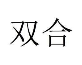双合商标原图 第18类皮革箱包