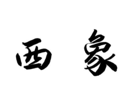 西象商标原图 第18类皮革箱包