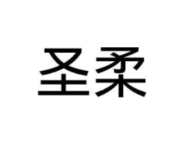 圣柔商标原图 第18类皮革箱包
