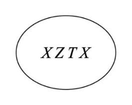 XZTX商标原图 第18类皮革箱包