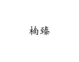 楠臻商标原图 第18类皮革箱包