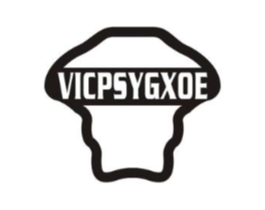 VICPSYGXOE商标原图 第18类皮革箱包