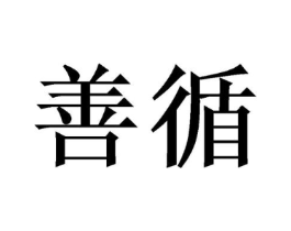 善循商标原图 第18类皮革箱包