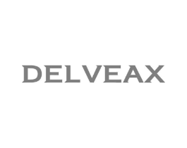 DELVEAX商标原图 第18类皮革箱包