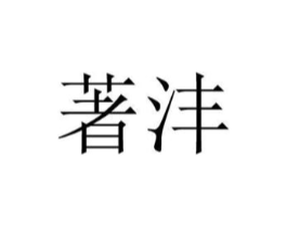 著沣商标原图 第18类皮革箱包