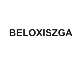 BELOXISZGA商标原图 第18类皮革箱包