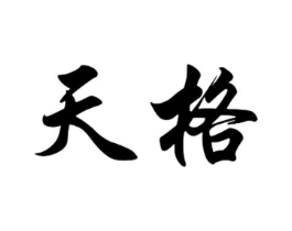 天格商标原图 第18类皮革箱包