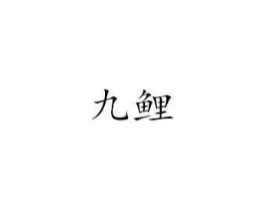 九鲤商标原图 第18类皮革箱包