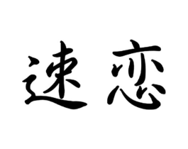 速恋商标原图 第18类皮革箱包