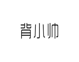 背小帅商标原图 第18类皮革箱包