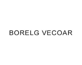 BORELG VECOAR商标原图 第18类皮革箱包