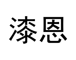 漆恩商标原图 第18类皮革箱包