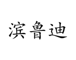 滨鲁迪商标原图 第18类皮革箱包