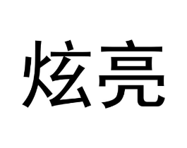 炫亮商标原图 第18类皮革箱包
