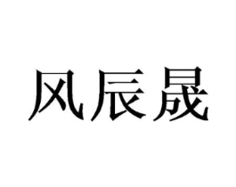 风辰晟商标原图 第18类皮革箱包