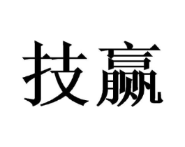 技赢商标原图 第18类皮革箱包