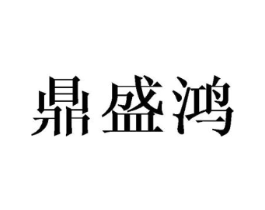 鼎盛鸿商标原图 第18类皮革箱包