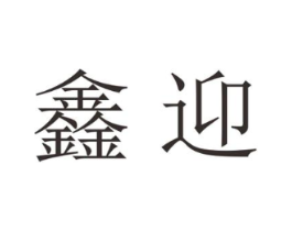 鑫迎商标原图 第18类皮革箱包