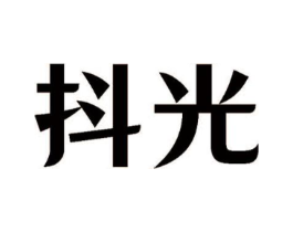 抖光商标原图 第18类皮革箱包