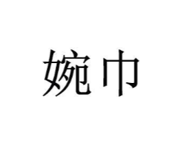 婉巾商标原图 第18类皮革箱包