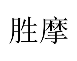 胜摩商标原图 第18类皮革箱包