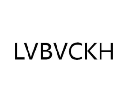 LVBVCKH商标原图 第18类皮革箱包