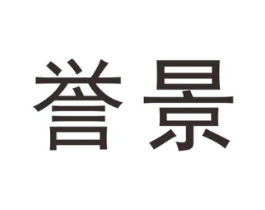 誉景商标原图 第18类皮革箱包