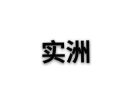 实洲商标原图 第18类皮革箱包