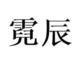 霓辰商标原图 第18类皮革箱包