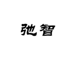 弛智商标原图 第18类皮革箱包