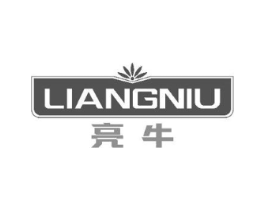 亮牛商标原图 第18类皮革箱包