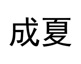 成夏商标原图 第18类皮革箱包