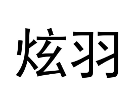 炫羽商标原图 第18类皮革箱包