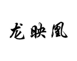 龙映凰商标原图 第18类皮革箱包