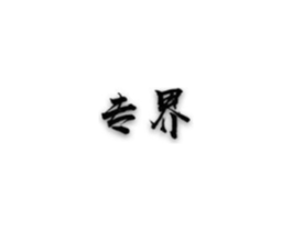 专界商标原图 第18类皮革箱包
