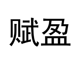 赋盈商标原图 第18类皮革箱包
