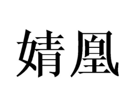 婧凰商标原图 第18类皮革箱包