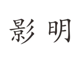 影明商标原图 第18类皮革箱包