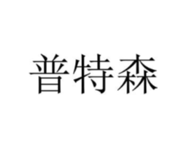 普特森商标原图 第18类皮革箱包