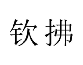 钦拂商标原图 第18类皮革箱包