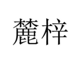 麓梓商标原图 第18类皮革箱包