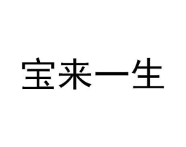 宝来一生商标原图 第18类皮革箱包