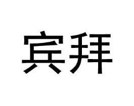 宾拜商标原图 第18类皮革箱包