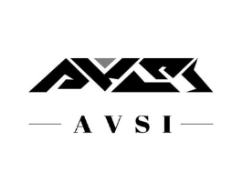 AVSI商标原图 第18类皮革箱包